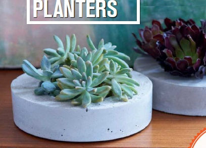 Planter 100