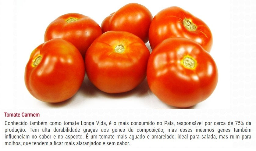 Toamates Brasil 1 Carmem