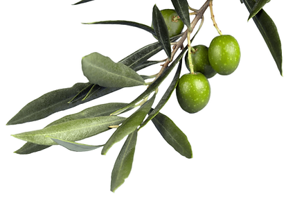 Sans titre (7 x 30 cm) (30 x 7 cm)(12).png