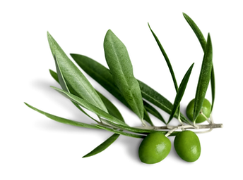 Sans titre (7 x 30 cm) (30 x 7 cm)(13).png