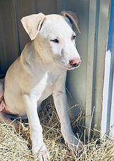 image000002 (1).jpeg