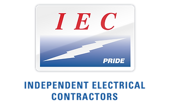 IEC-web-logo (002) - national.png