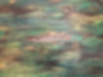 F0E0B1CF-2407-4273-87F7-A0513E134566.jpeg