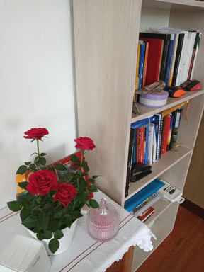WhatsApp Image 2023-07-06 at 10.02.43.jpeg