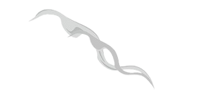 preview (13)_edited.png