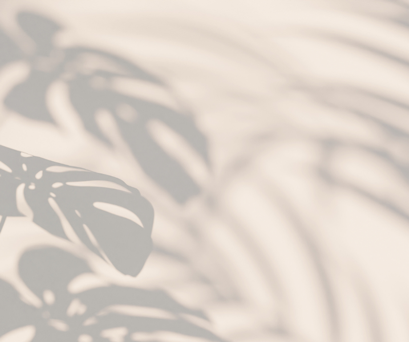 Hintergrund Potenzialreise