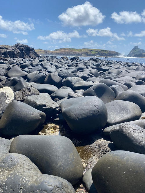 WhatsApp Image 2025-08-15 at 16.29.12 (2).jpeg