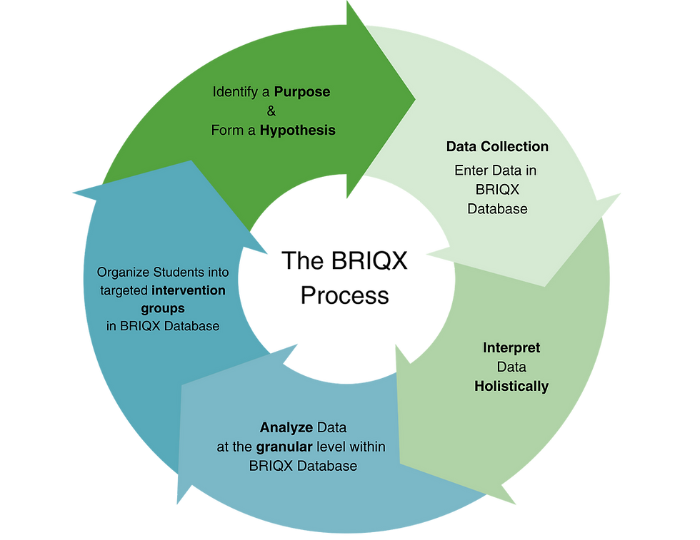 The BRIQX Process (2).png