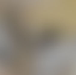 井荻事務所/店舗改装