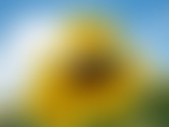 IKYA Meditation @ Vamos Yoga