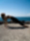 _DSC0817_edited.jpg