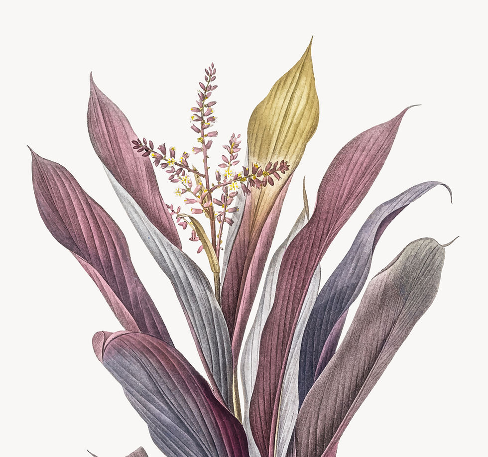 Alessandra Weber Paartherapeutin