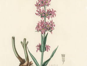 Negative Beziehungsmuster