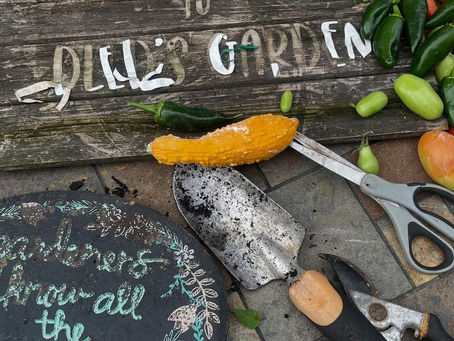 Fueling with Seasonal Foods