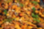 CORNBREAD STUFFING