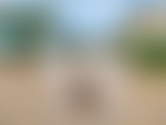 Living with Water Scarcity – My Roots in Anantapuram District, India