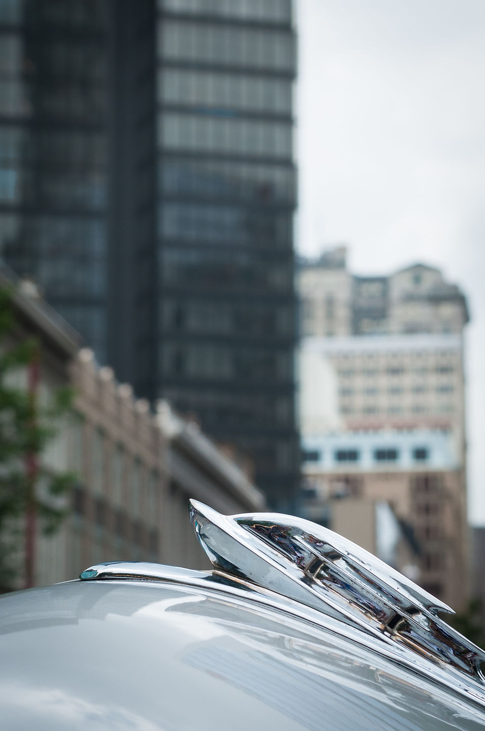 2016 PVGP Downtown