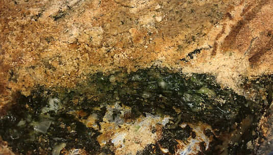 Spinach & Artichoke Casserole