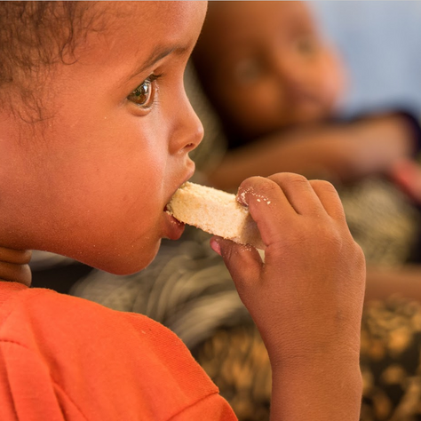 Malnutrition: an Epidemic