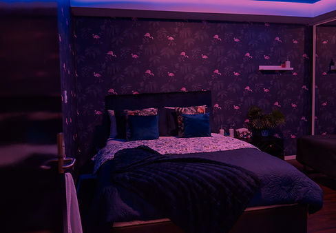 flamingo room.jpg