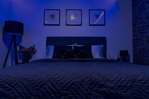 jungle room.jpg