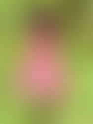 Oliver Nakakande: I'm passionate about advocacy for women's and girls' rights, especially in Uganda