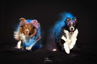 IMG_4128-Edit-1_0,33x.jpg