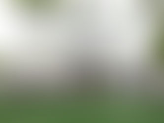 2532 SqFt Breckenridge Model