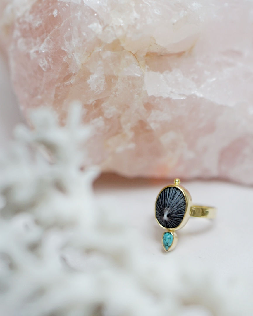 Thumbnail: Golden Limpet - Size O