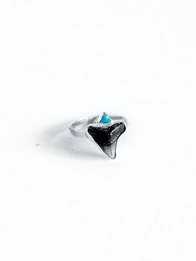 Thumbnail: Blue Shark