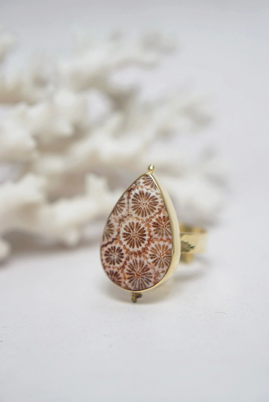 Coral Diver - Size K - T 