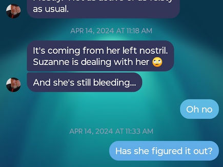 April 14 2024 Text 2