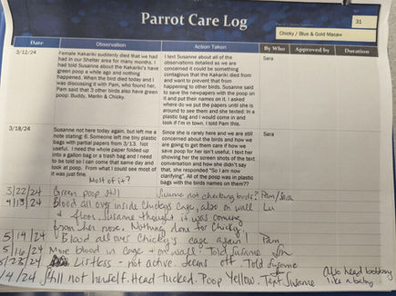 Parrot Care Log 1