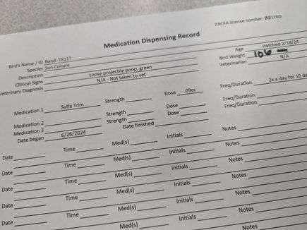 June 26 2024 Med Chart2 modified Susanne didnt weight birds