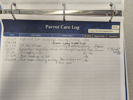 Photograph of earlier Care Log