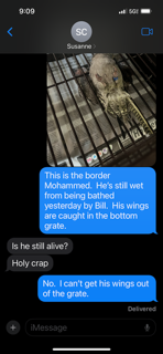 Text to Susanne - Part 1