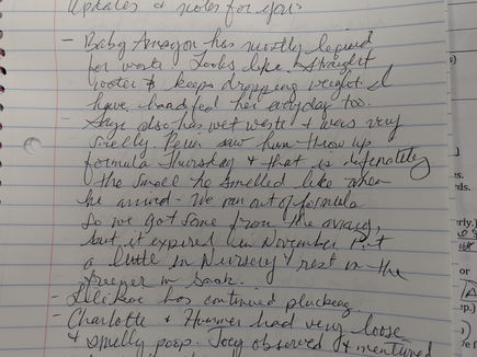 Feb 8 2025 Note to Susanne