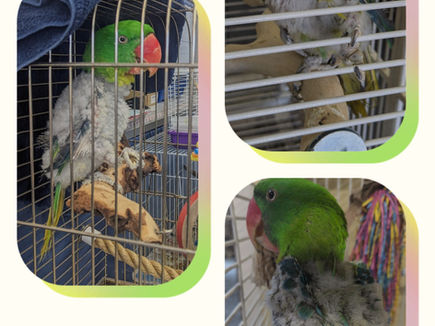 20241030_115828-COLLAGE~2