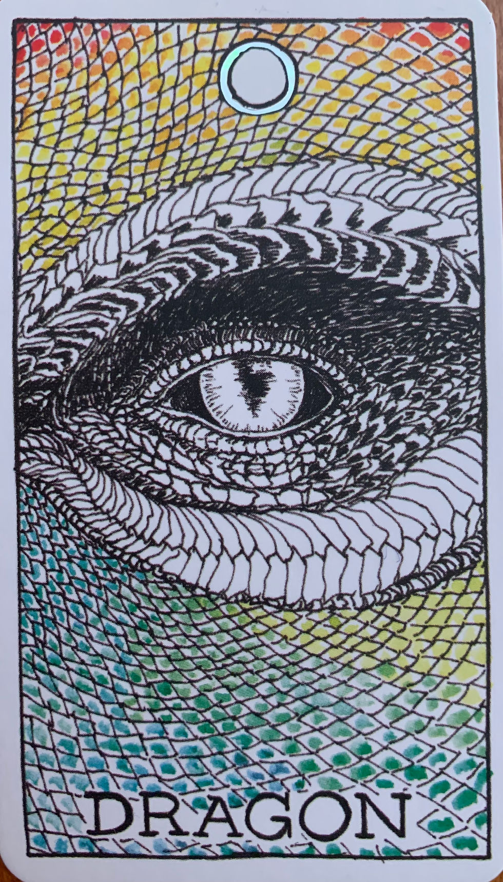 The Dragon from the Pocket Animal Spirit Deck by Kim Krans