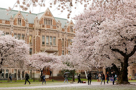 university-of-washington.jpeg