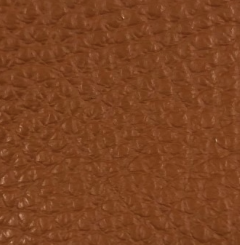 Tan 507