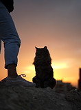 sunset and relax in our facilities in our surf camp Morocco