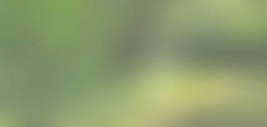 | 5 Tips for Finding and Buying Land |