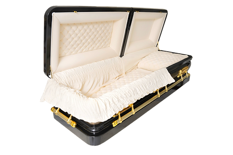 Remove background project (7).png