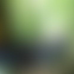 Tropical Trekking: The adventure tourism business model towards responsibility and sustainability