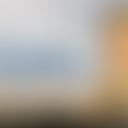 Novena alla Madonna di Lourdes.