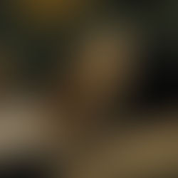 Bernadette: il maggiore miracolo di Lourdes.