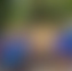 Missione Mariana ad Assergi