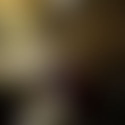 Pellegrinaggio a Loreto.