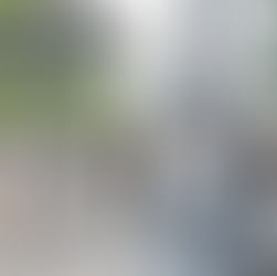 Processione Mariana nella Parrocchia di San Pietro a Oriago (VE)